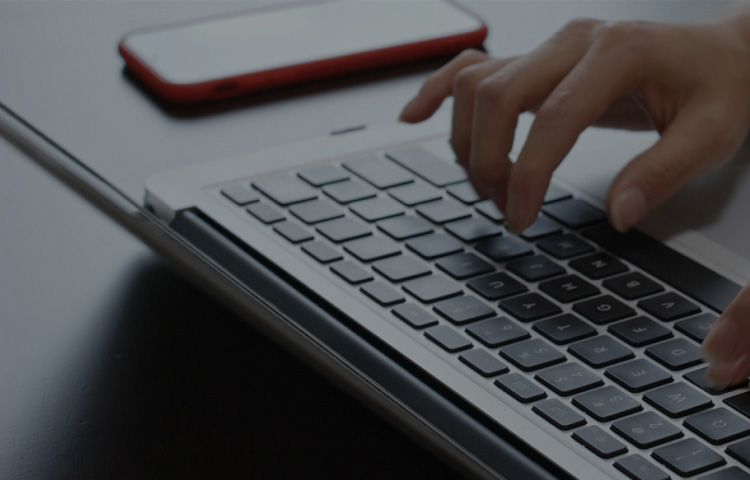 ��ϵ������Ե